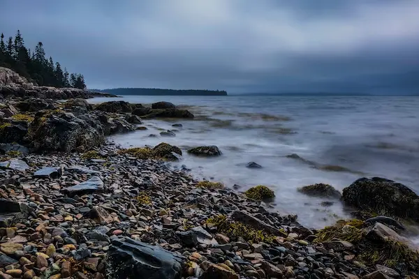 2025 Maine / Acadia #1