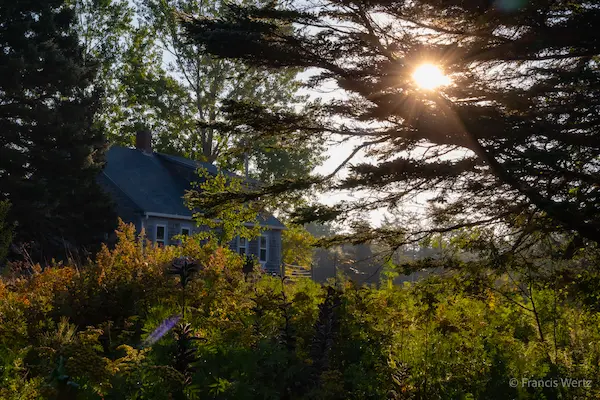 2025 Maine / Acadia #5