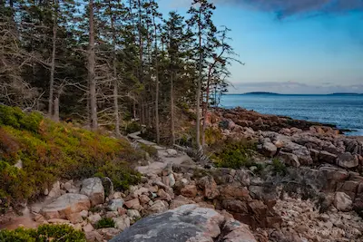 2025 Maine / Acadia