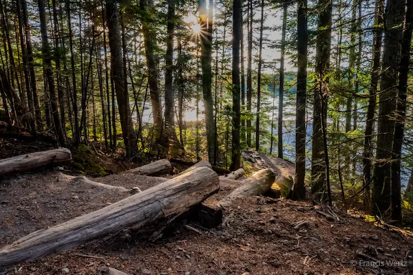 2025 Maine / Acadia #12