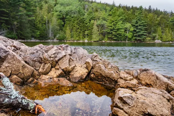 2025 Maine / Acadia #14