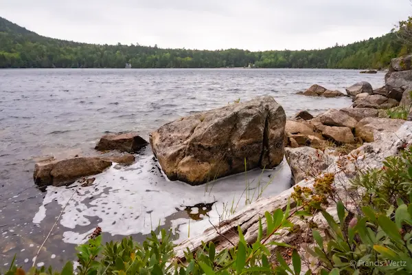 2025 Maine / Acadia #17